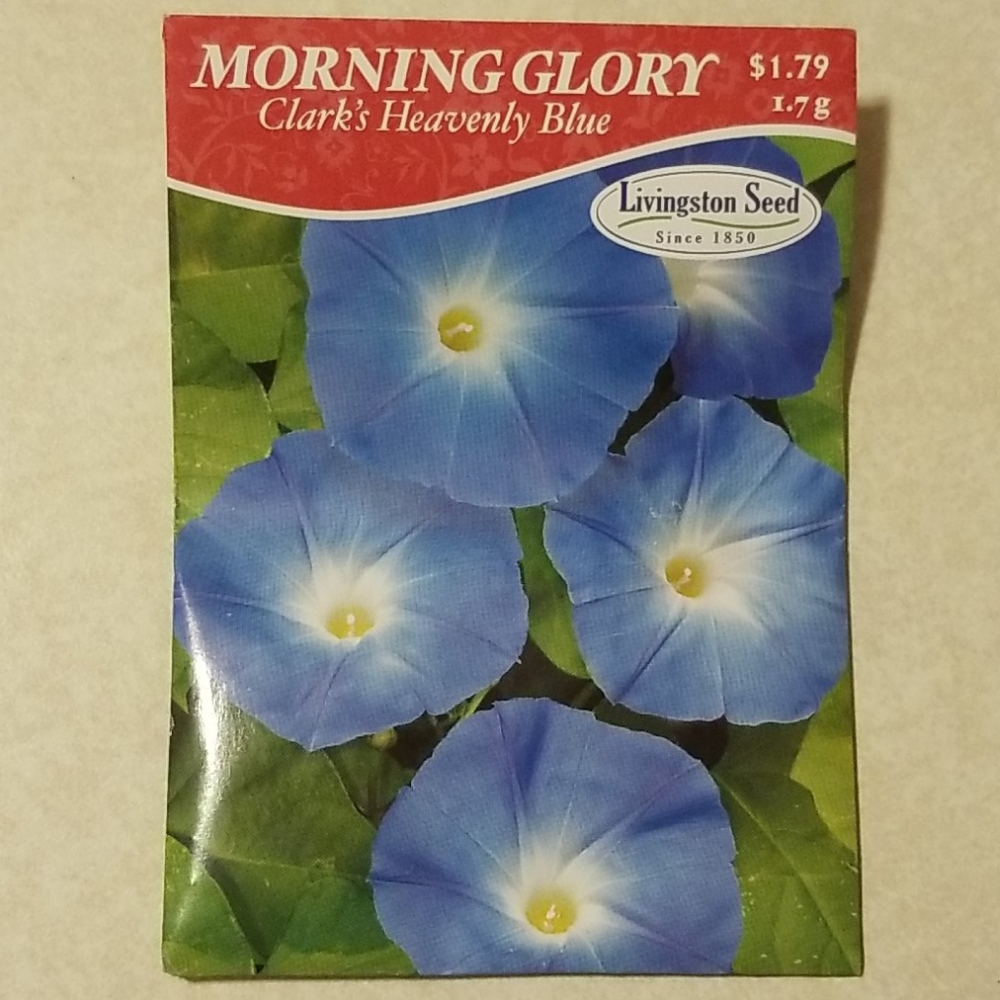 ๐ผ ๐๐ฅ๐๐ Flower pkg w/ purchase๐ฆ๐ - Picture 5 of 16